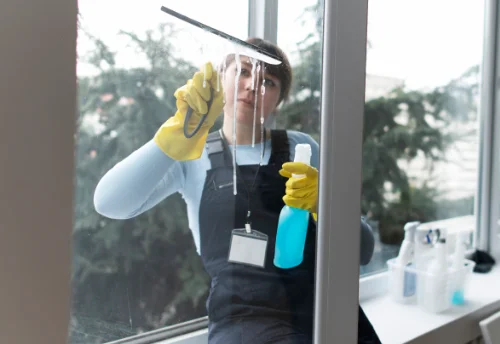 Nettoyage de vitres intérieures et extérieures à Saint-André-de-Chalencon